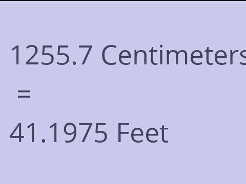 1255.7 CM TO FEET