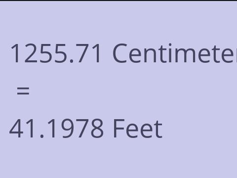 1255.71 CM TO FEET