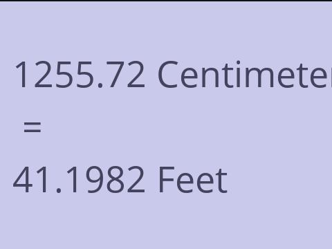 1255.72 CM TO FEET