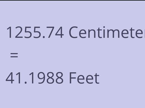 1255.74 CM TO FEET