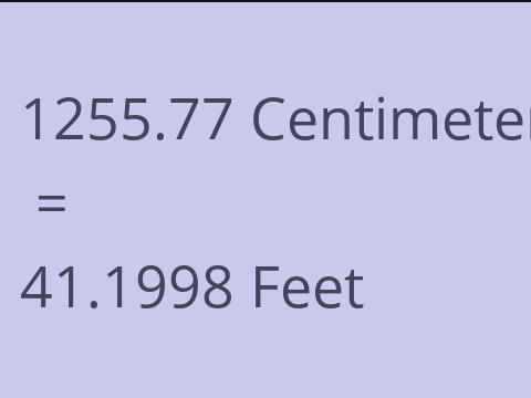 1255.77 CM TO FEET