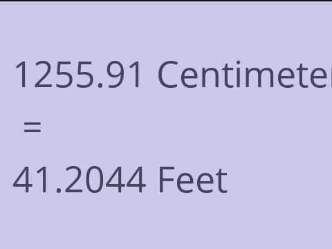 1255.91 CM TO FEET