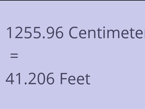 1255.96 CM TO FEET