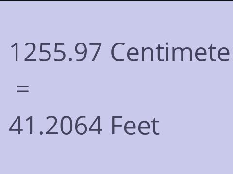 1255.97 CM TO FEET