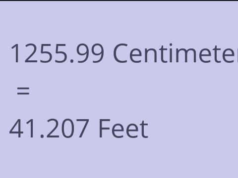 1255.99 CM TO FEET