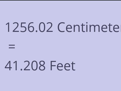 1256.02 CM TO FEET