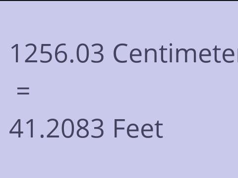 1256.03 CM TO FEET