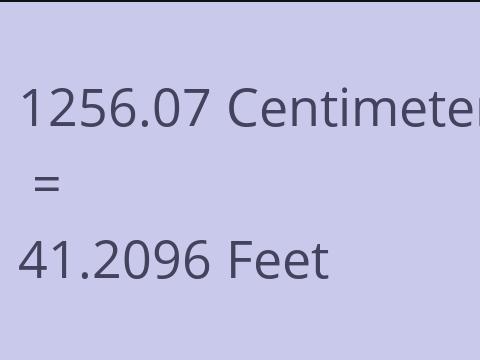 1256.07 CM TO FEET