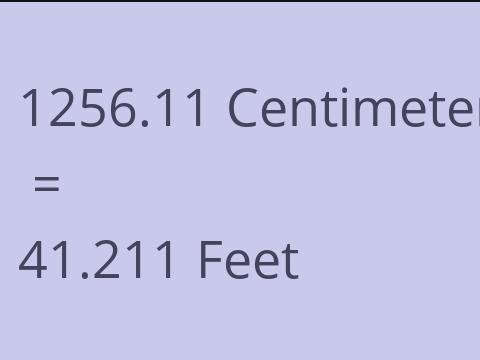 1256.11 CM TO FEET