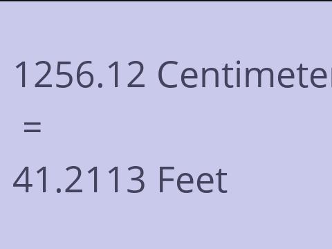 1256.12 CM TO FEET