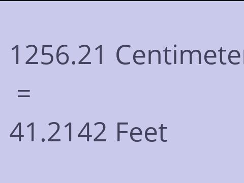 1256.21 CM TO FEET