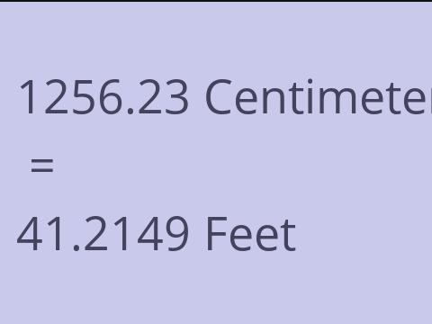 1256.23 CM TO FEET