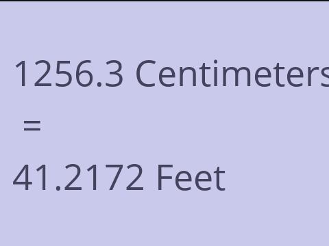 1256.3 CM TO FEET