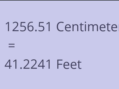 1256.51 CM TO FEET