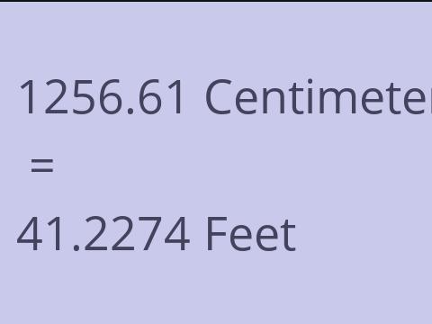 1256.61 CM TO FEET