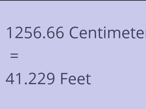 1256.66 CM TO FEET