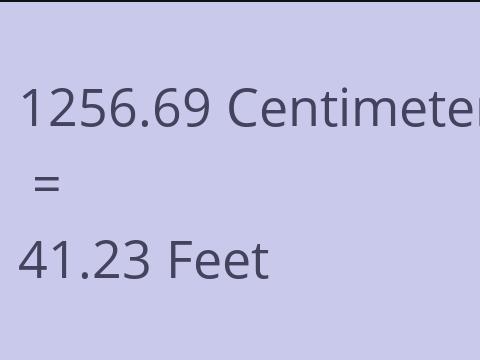 1256.69 CM TO FEET