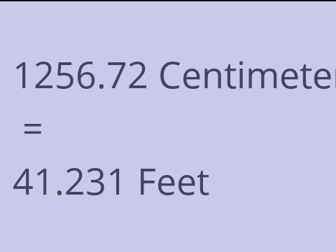 1256.72 CM TO FEET