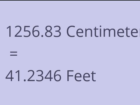 1256.83 CM TO FEET