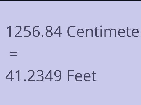 1256.84 CM TO FEET