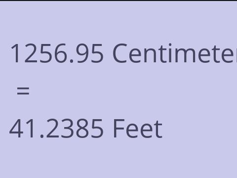 1256.95 CM TO FEET