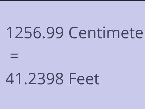 1256.99 CM TO FEET