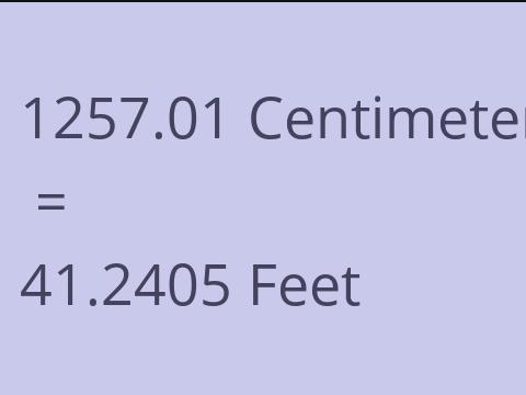 1257.01 CM TO FEET