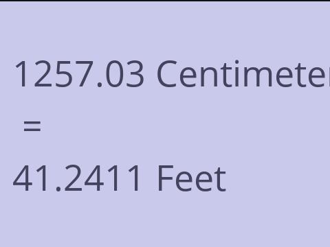 1257.03 CM TO FEET