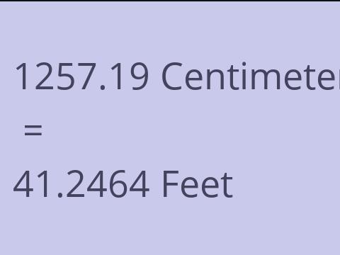 1257.19 CM TO FEET