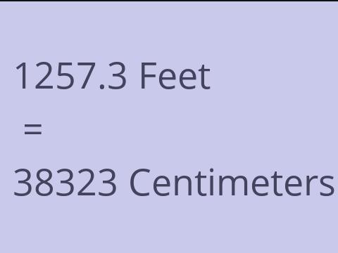 1257.3 FEET TO CM