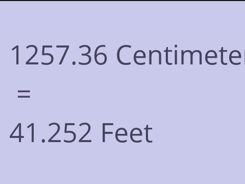 1257.36 CM TO FEET