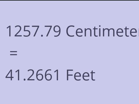 1257.79 CM TO FEET