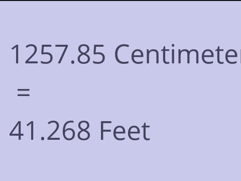 1257.85 CM TO FEET