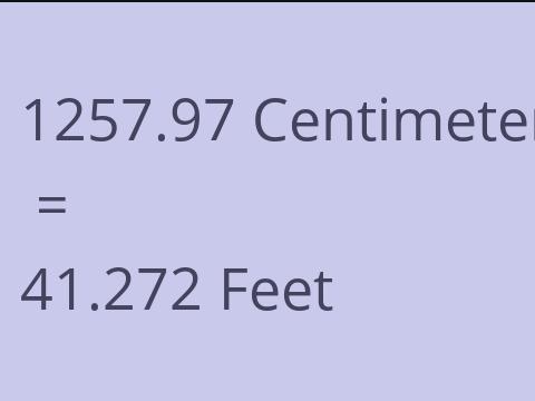 1257.97 CM TO FEET