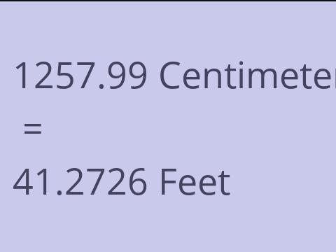 1257.99 CM TO FEET