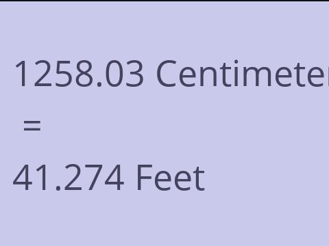 1258.03 CM TO FEET