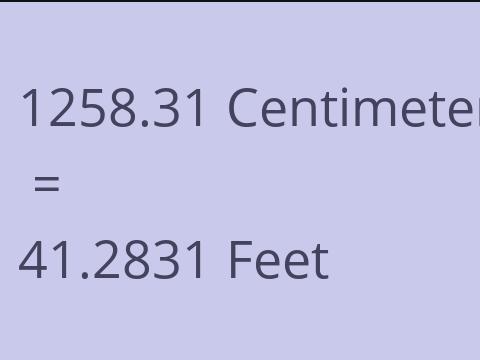 1258.31 CM TO FEET