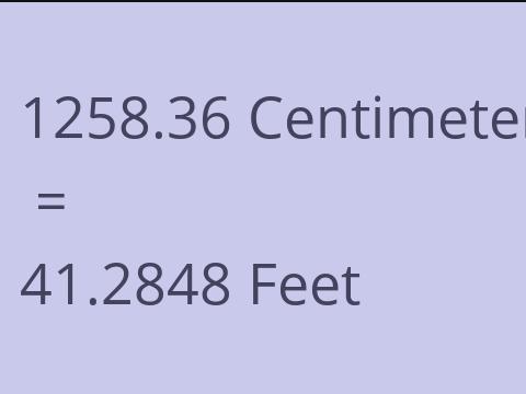 1258.36 CM TO FEET