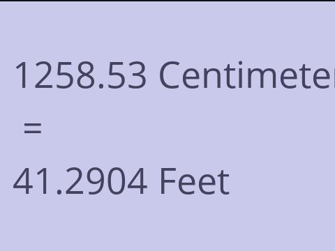 1258.53 CM TO FEET