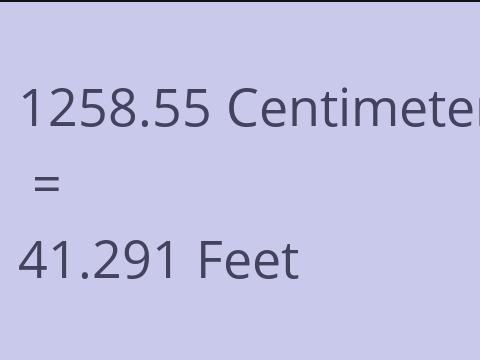 1258.55 CM TO FEET