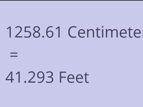 1258.61 CM TO FEET