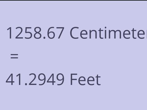 1258.67 CM TO FEET