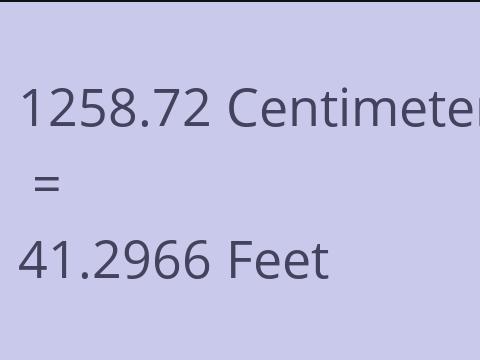 1258.72 CM TO FEET