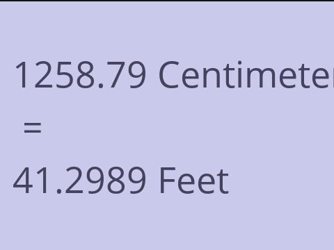 1258.79 CM TO FEET