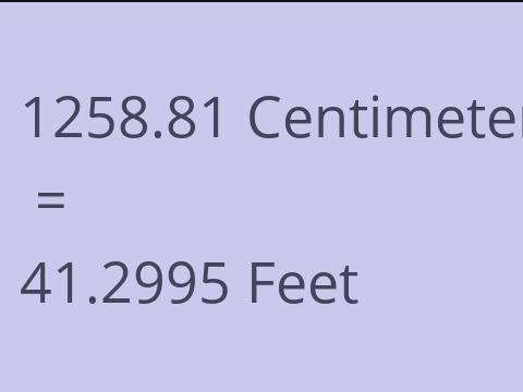 1258.81 CM TO FEET