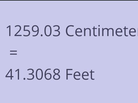 1259.03 CM TO FEET