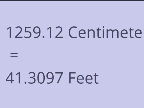 1259.12 CM TO FEET