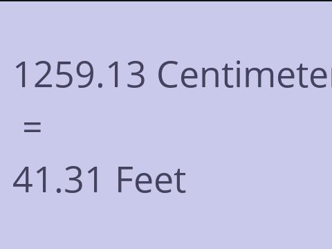 1259.13 CM TO FEET