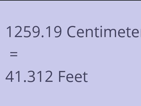 1259.19 CM TO FEET