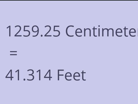 1259.25 CM TO FEET